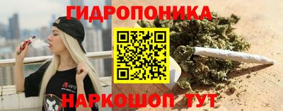 гидропоника Севастополь